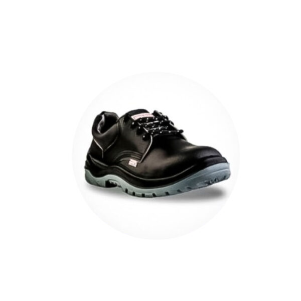Zapato Grafa70 Punta Acero